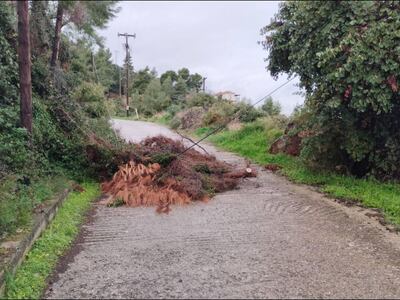 Πτώσεις δέντρων στην Παλαιά Εθνική Οδό σ...