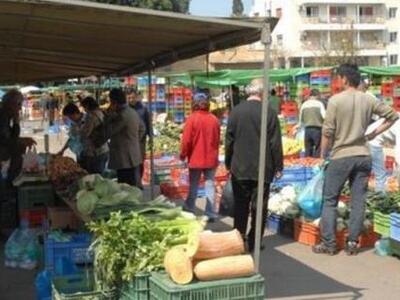 Μεσολόγγι: Επαναλαμβάνεται η δράση «Φθην...
