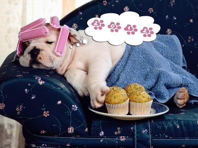 Δείτε τις επίσημες αργίες του 2012