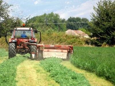 Ξεπέρασαν τις 8.500 οι αιτήσεις για το Π...