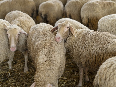 Δυτική Αχαΐα: Εξαιρετικά κρίσιμη η κατάσ...