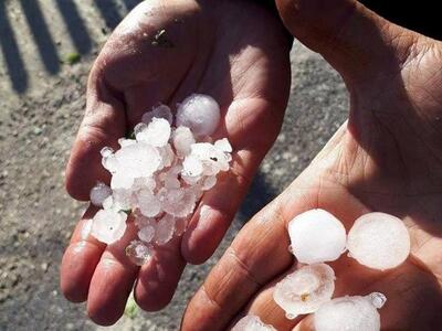 Επίσκεψη του Αντιπεριφερειάρχη Αγροτικής...