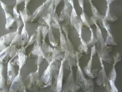 Ταξίδευε με τα ΚΤΕΛ έχοντας πάνω του 16 ...