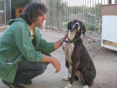 Πύργος: Βρήκε τον σκύλο του ύστερα από 6 μήνες!