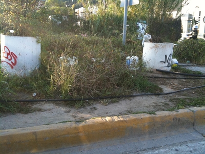 Αυτή τη νησίδα ποιός θα την καθαρίσει;