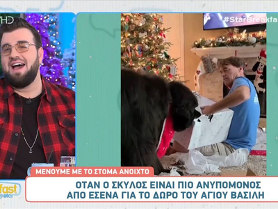 Όταν ο σκύλος είναι πιο ανυπόμονος από ε...