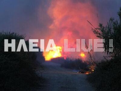 Πήρε φωτιά ο Αλφειός - Τρία τα μέτωπα δ...