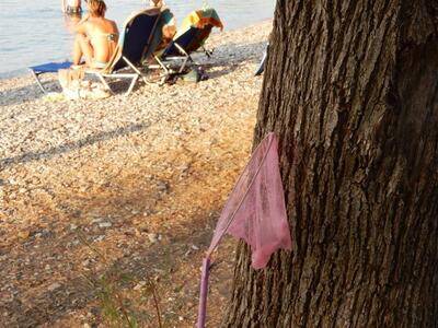 Πάτρα: Εθνικό… σπορ φέτος το κυνήγι μεδο...