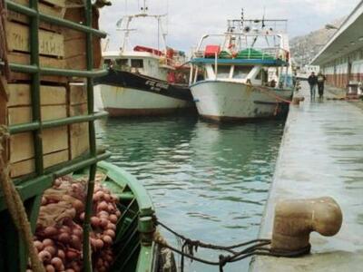 Πάτρα: Kατασχέθηκαν 78 κιλά ψάρια στην Ιχθυόσκαλα