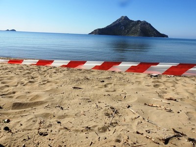 Τα πρώτα χελωνάκια Caretta caretta του Ε...