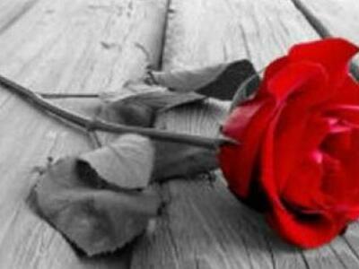 Ηλεία: «Έσβησε» το χαμόγελο της Ελπίδας ...