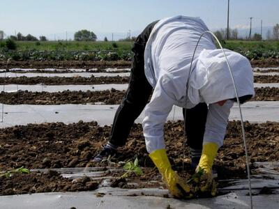 Ειδική διάταξη λύνει το πρόβλημα μετάταξ...