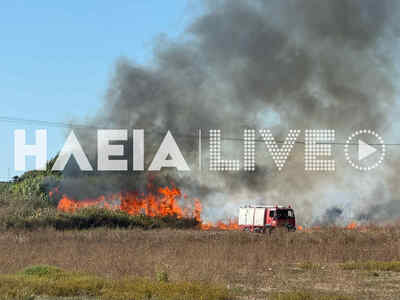 Πύργος: Φωτιά στην Πύργου- Κυπαρισσίας σ...