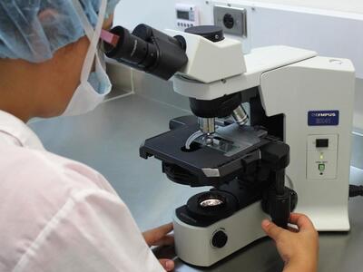 Βγήκαν τα αποτελέσματα των τοξικολογικών...