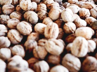 Τα οφέλη των καρυδιών στην υγεία