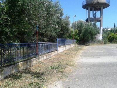 Ο Πολιτιστικός Σύλλογος Παραλίας Κάτω Αλ...