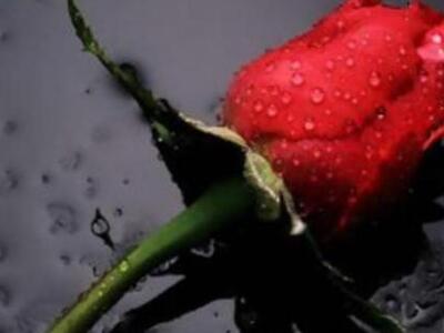 Πάτρα: Θρήνος για τον απροσδόκητο χαμό τ...