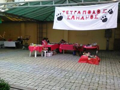 Πάτρα: Ο «Τετράποδος Σαμάνος», αναζητά ε...