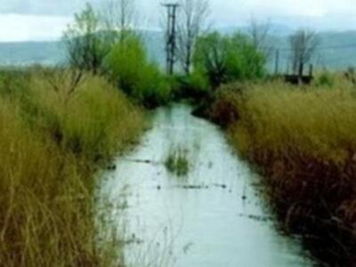 Αμαλιάδα: Βρέθηκε νεκρός 28χρονος σε κανάλι