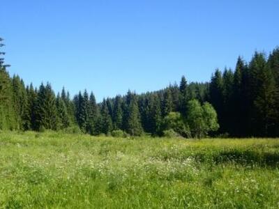 Στην Ηλεία μεταφέρεται η έδρα του Δασαρχ...