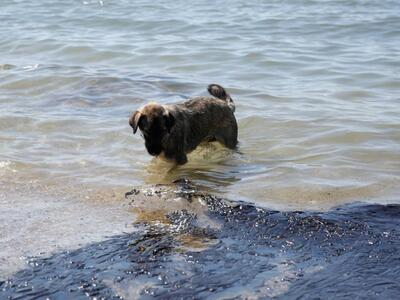 ΦΩΤΟ EUROKINISSI