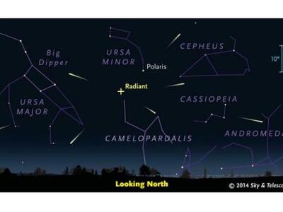 Παρασκευή προς Σάββατο θα βρέξει Καμηλοπαρδαλίδες!