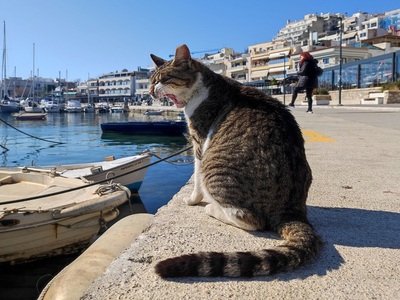 Ο βρυχηθμός του Φθινοπώρου