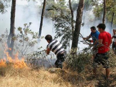 Ηλεία: Δύο πύρινα μέτωπα σε Γραίκα και Λαμπέτι  