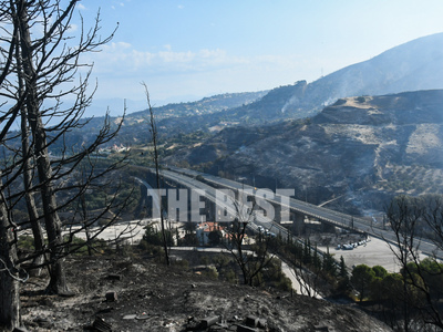 Φωτιές στην Πάτρα: Ξεκινά η υποβολή δηλώ...