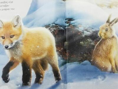 Σπουδαίο πράγμα η φιλία... Το παιδί σας το ξέρει;