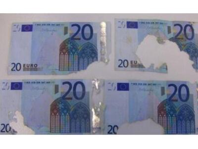 Τα ποντίκια της έτρωγαν τα λεφτά και η Τ...