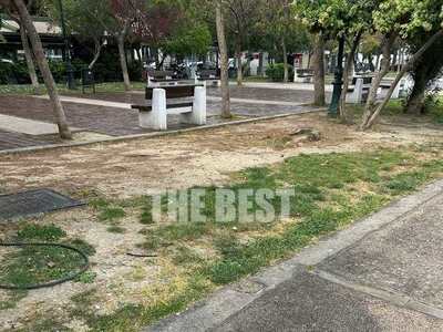 Πάτρα: Εικόνα εγκατάλειψης στα Ψηλά Αλών...
