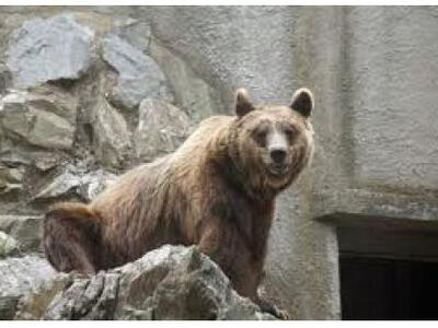 Μαζική διαδικτυακή κινητοποίηση για το «...