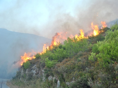  Πυρκαγιά στο χωριό Αγία Μαρίνα στη Ζάκυνθο