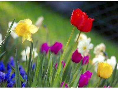 Πάτρα: Θεατρικό παιχνίδι αφιερωμένο στην Άνοιξη