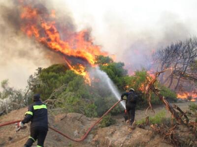 Αχαΐα: Yψηλός και σήμερα ο κίνδυνος πυρκαγιάς