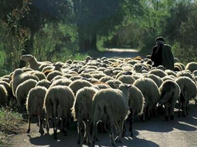 Εκδήλωση με θέμα: Το γάλα και τα προϊόντ...