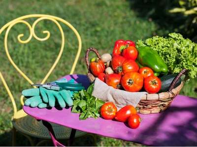 Φωτογραφία: Freepik