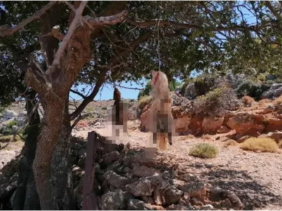 Απίστευτη βαρβαρότητα: Σκυλάκι βρέθηκε δ...