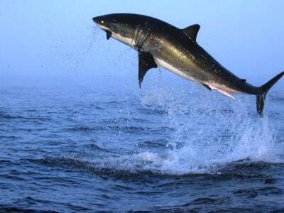 Τι θα γινόταν στη Γη αν έμενε 5 δευτερόλ...