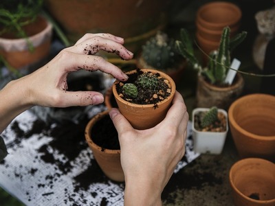 Eπιστήμονες με επικεφαλής μια Ελληνίδα «...