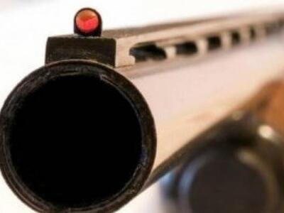 Μαγνησία:Κυνηγετικό όπλο εκπυρσοκρότησε ...