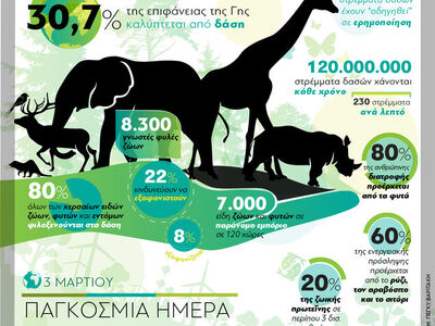 Παγκόσμια Ημέρα Άγριας Ζωής