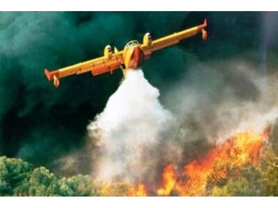 Πάτρα: Αναζωπυρώθηκε στα Συχαινά  - Έσβη...