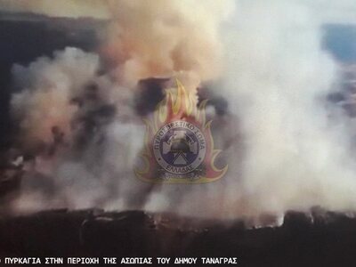 Φωτιά στην Τανάγρα – 100 πυροσβέστες στη...