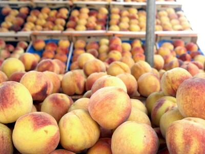 Ρωσία: Δε χαλαρώνει το εμπάργκο στην Ελλάδα