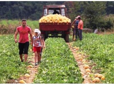 Περιφερειακό ΚΕΚ: Υποστήριξη σε όσους στ...