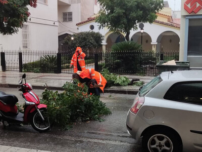Αγρίνιο: Τους πήρε και τους σήκωσε- Έπεσαν δέντρα