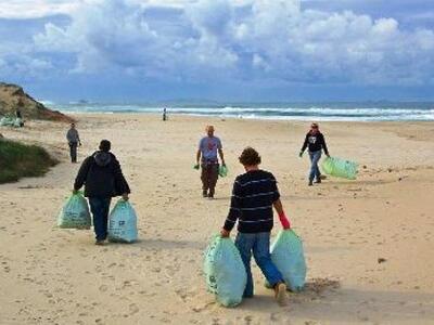 Καθαρισμός της παραλίας - υδροβιότοπου τ...