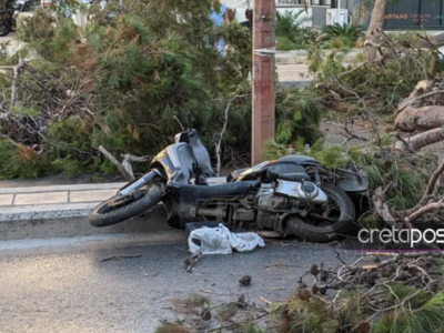 Κρήτη: «Του φώναζαν ότι πέφτει το δέντρο...